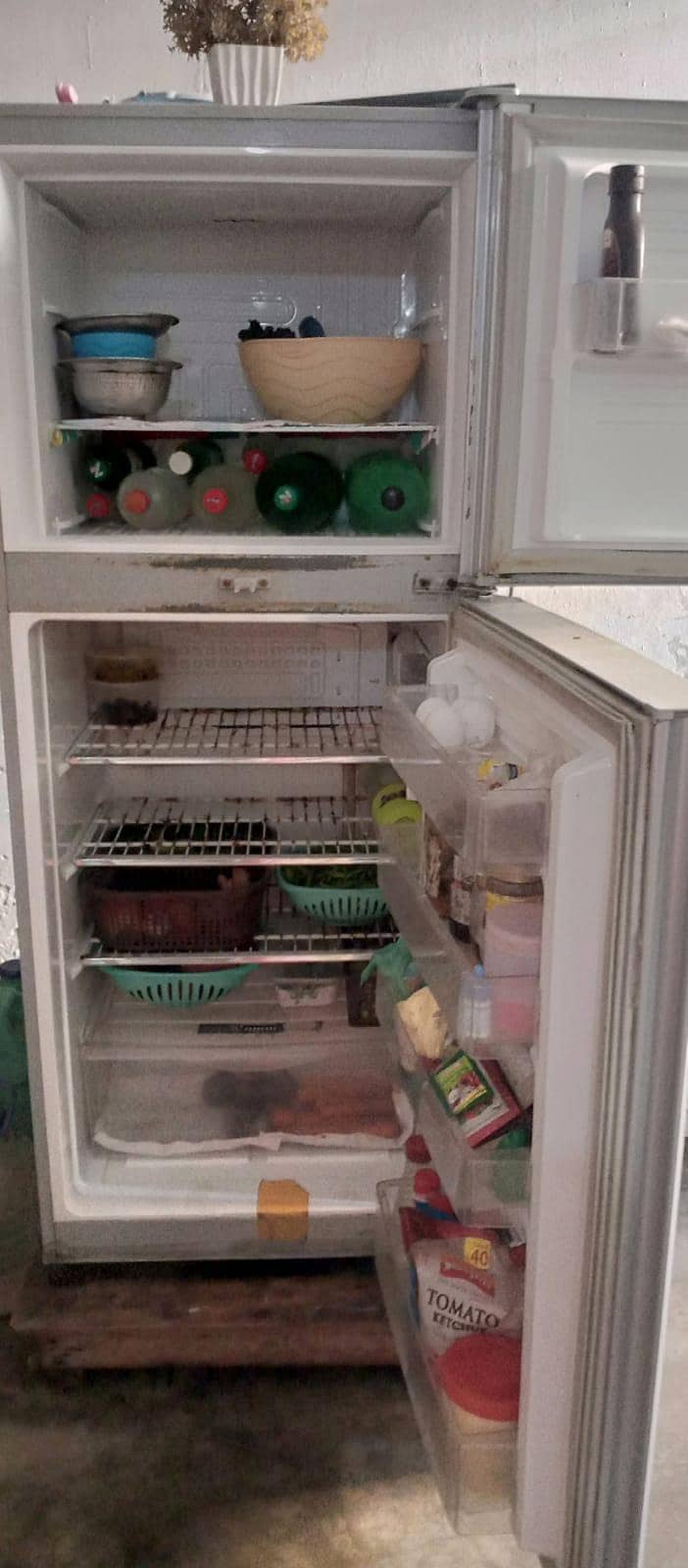 Pel fridge 2