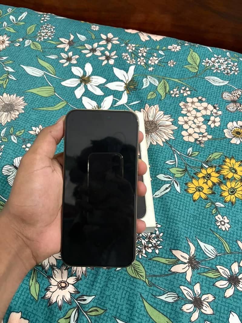 iPhone 16 Pro Max 2