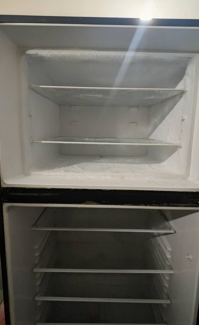 Full size Fridge 3