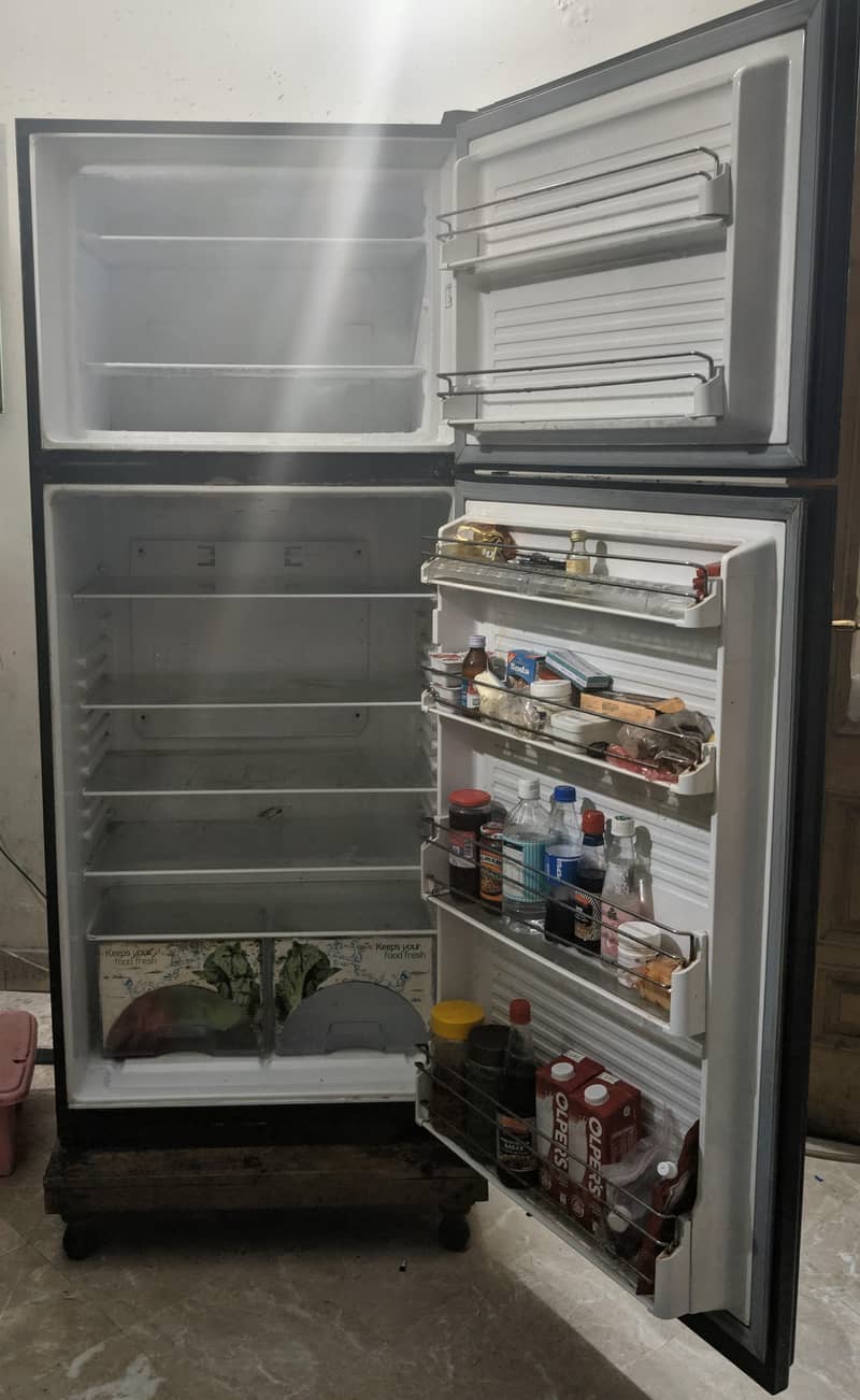 Full size Fridge 5