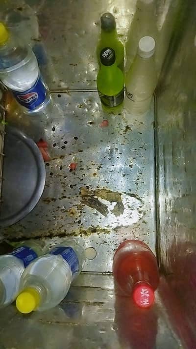 deepfreezer