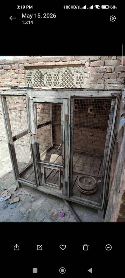 cage pinjera
