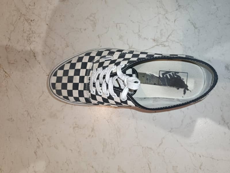 Vans - Checkered 2