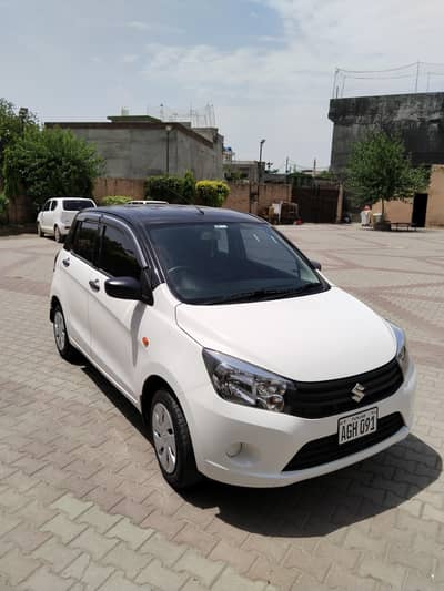 Suzuki cultus