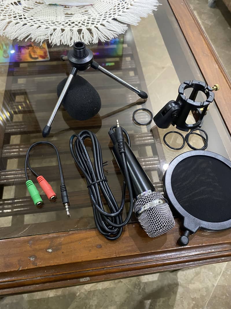 Professional Condenser Microphone for Studio 0