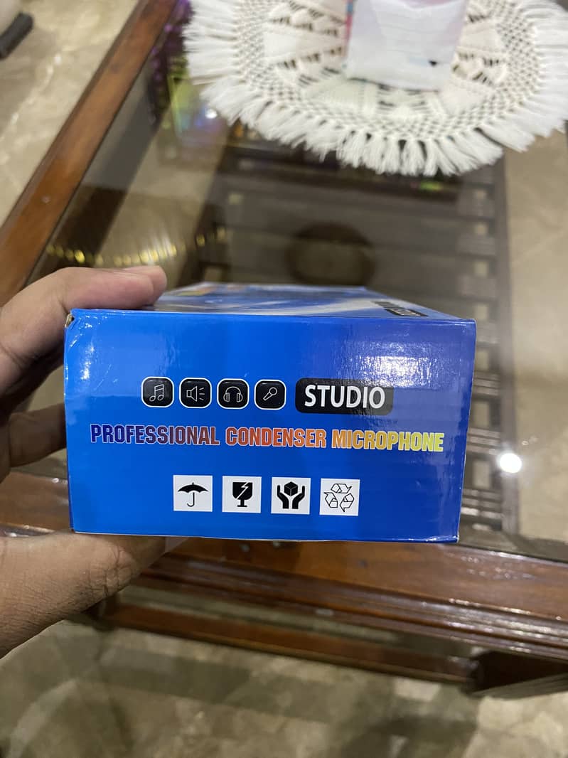 Professional Condenser Microphone for Studio 1