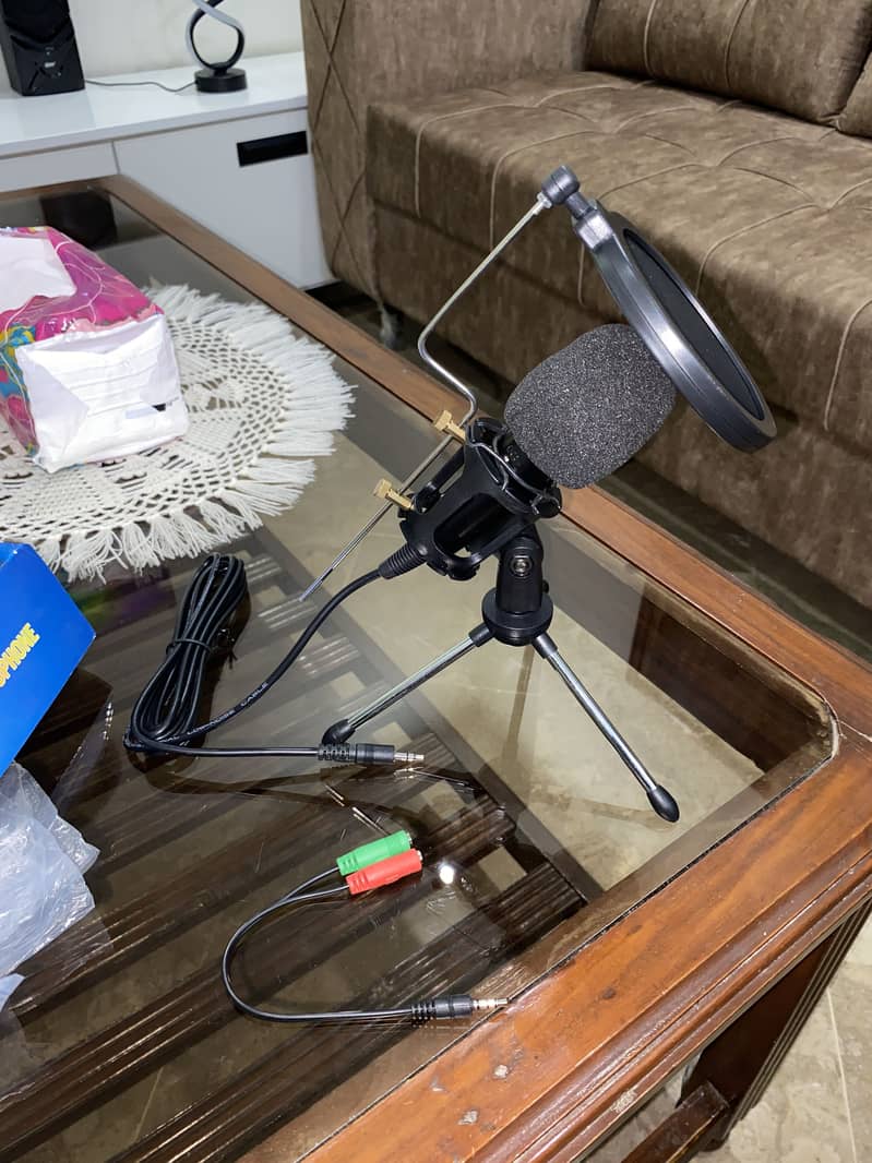Professional Condenser Microphone for Studio 2