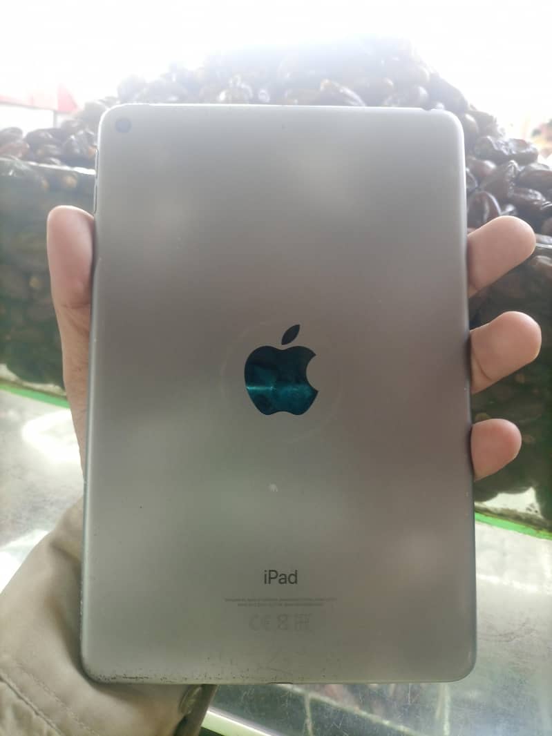 ipad mini 5 1
