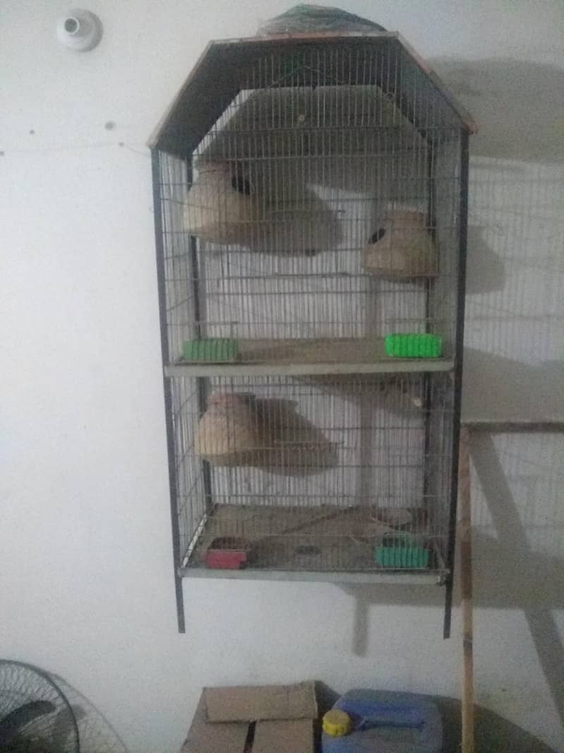 2 portion cage 0