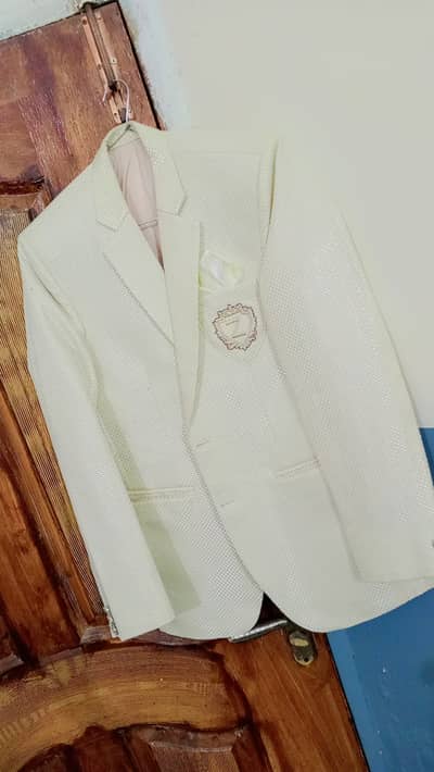 Imported dress coat