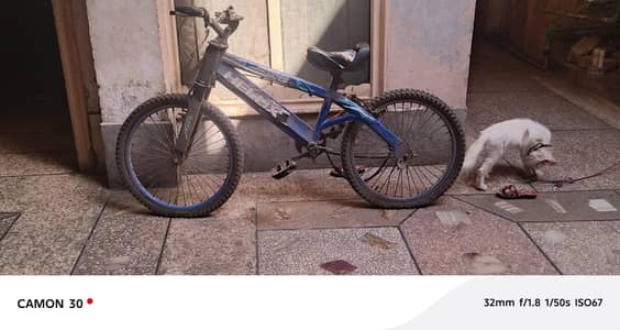 2 Cycle for sale