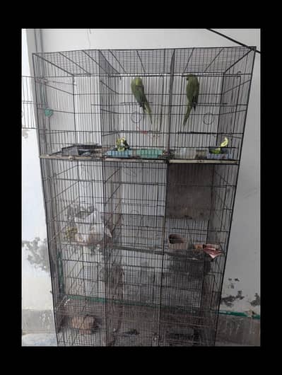 IRON cage For birds