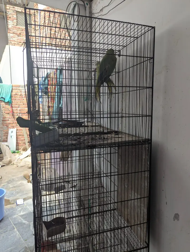 IRON cage For birds — photo 2