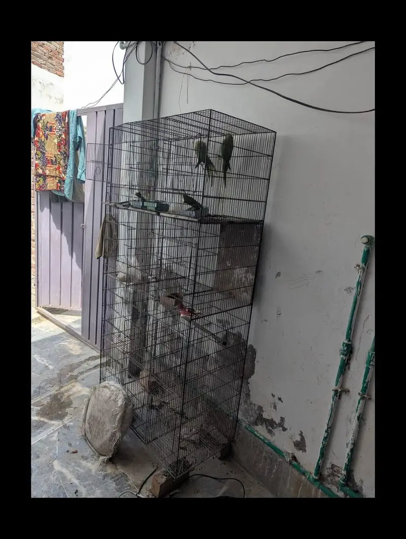 IRON cage For birds — photo 3