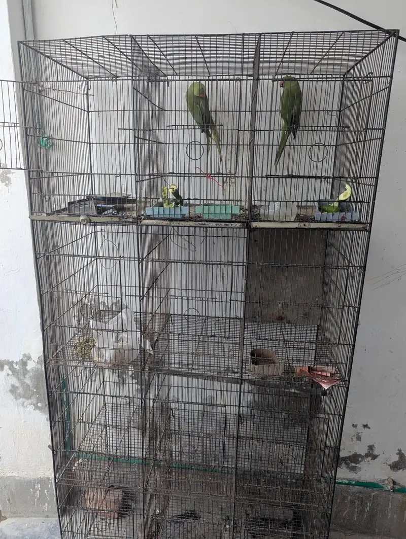 IRON cage For birds — photo 4