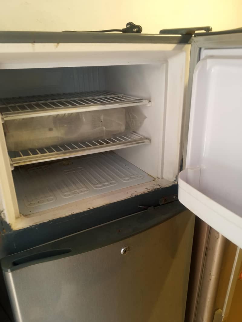 waves fridge 1