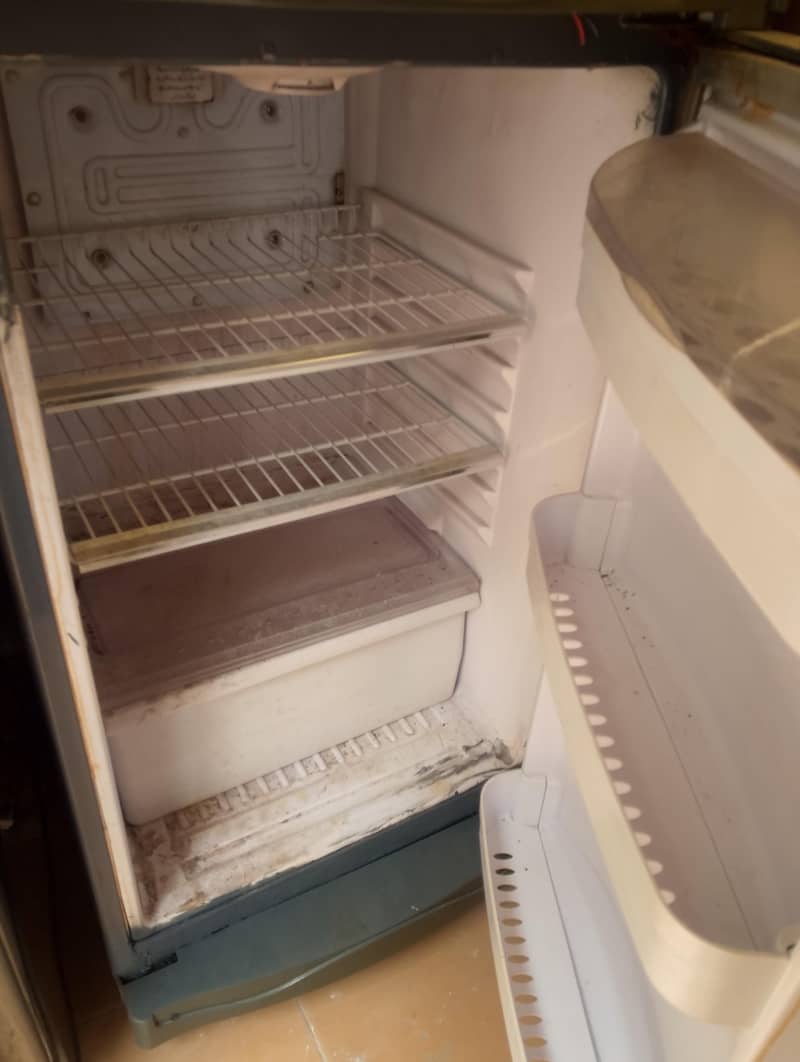 waves fridge 2
