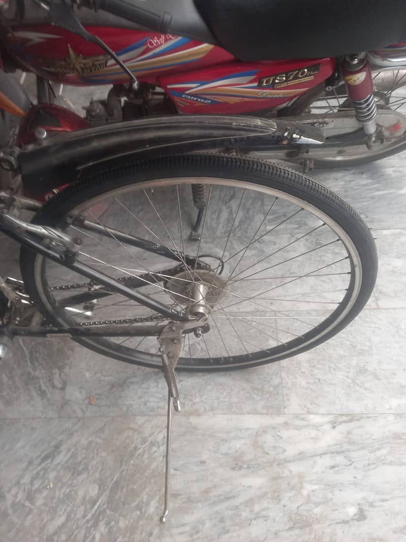 Bridgestone Bicycle 5