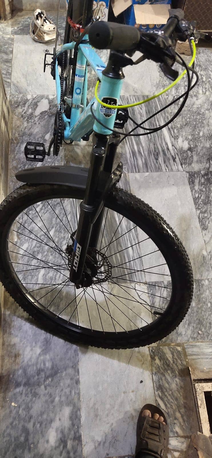 speed cycle 6