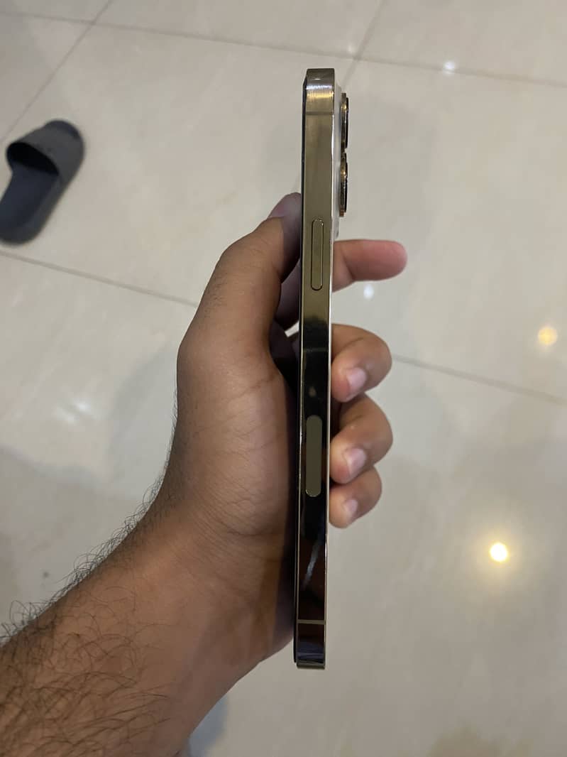 Iphone 13 pro max 1