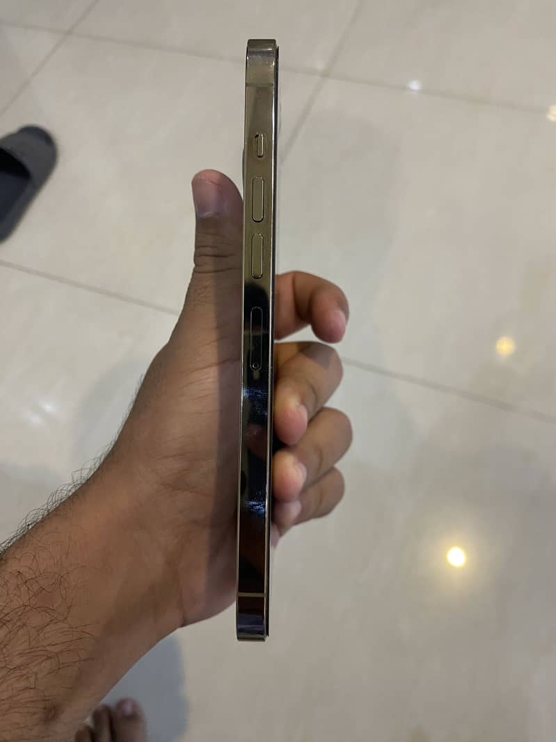Iphone 13 pro max 4