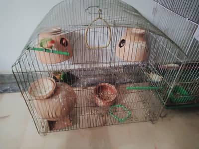 cage pinjra