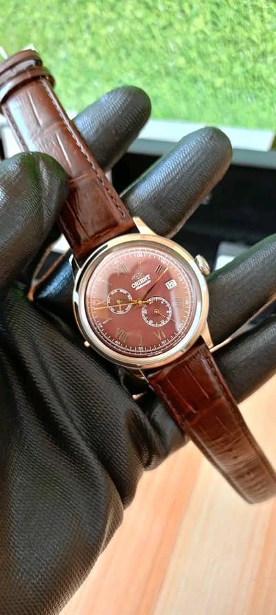 Orient Bambino 8 Weekly Calendar