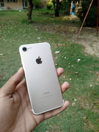 iphone 7 (exchange possible)