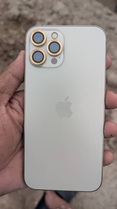 12 pro max