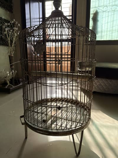Grey parrot cage