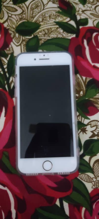 iphone 7