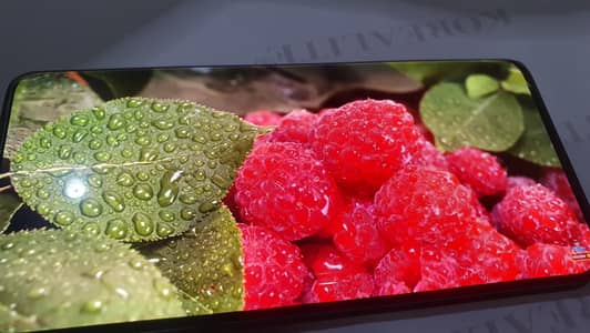 OnePlus 7T pro
