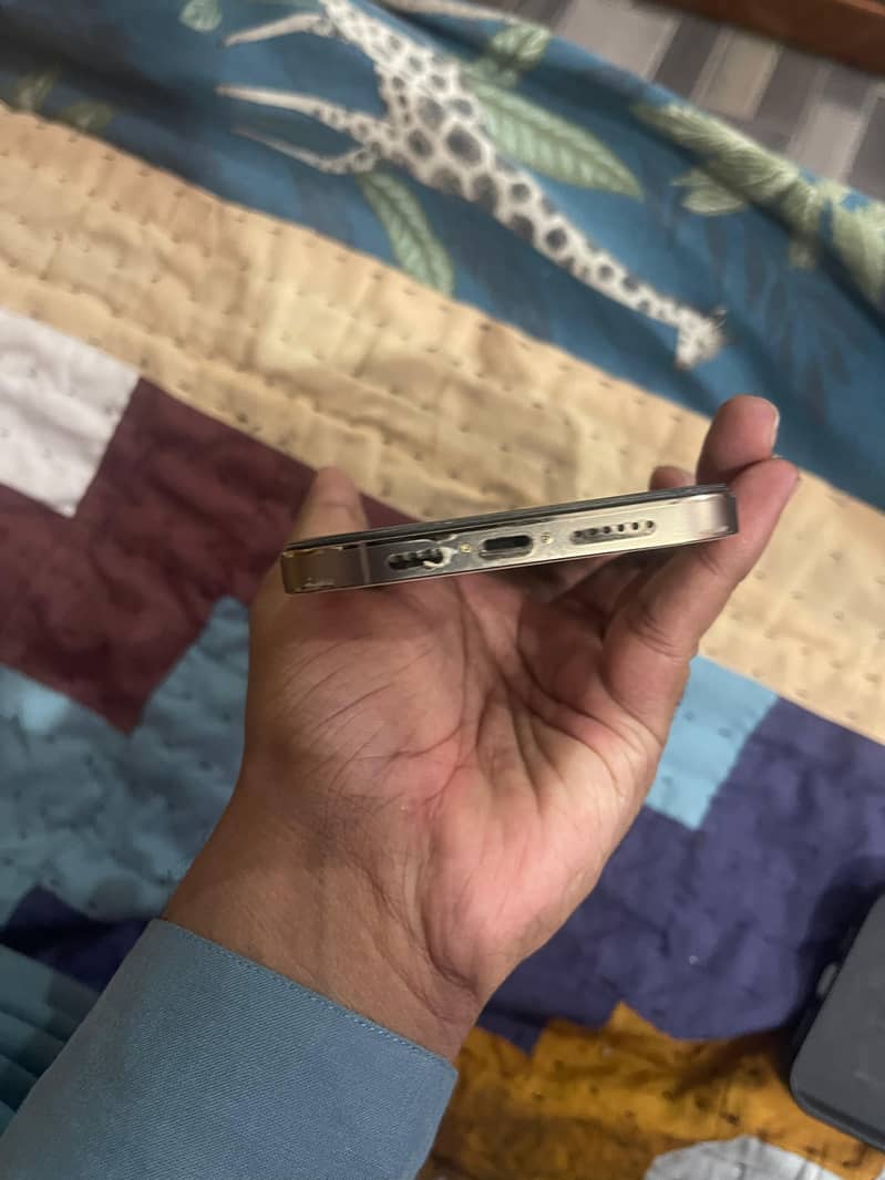 IPhone 12 Pro Max 2