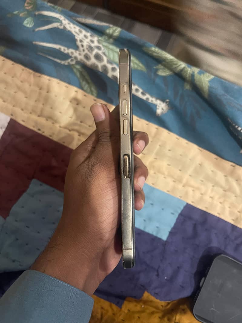 IPhone 12 Pro Max 3