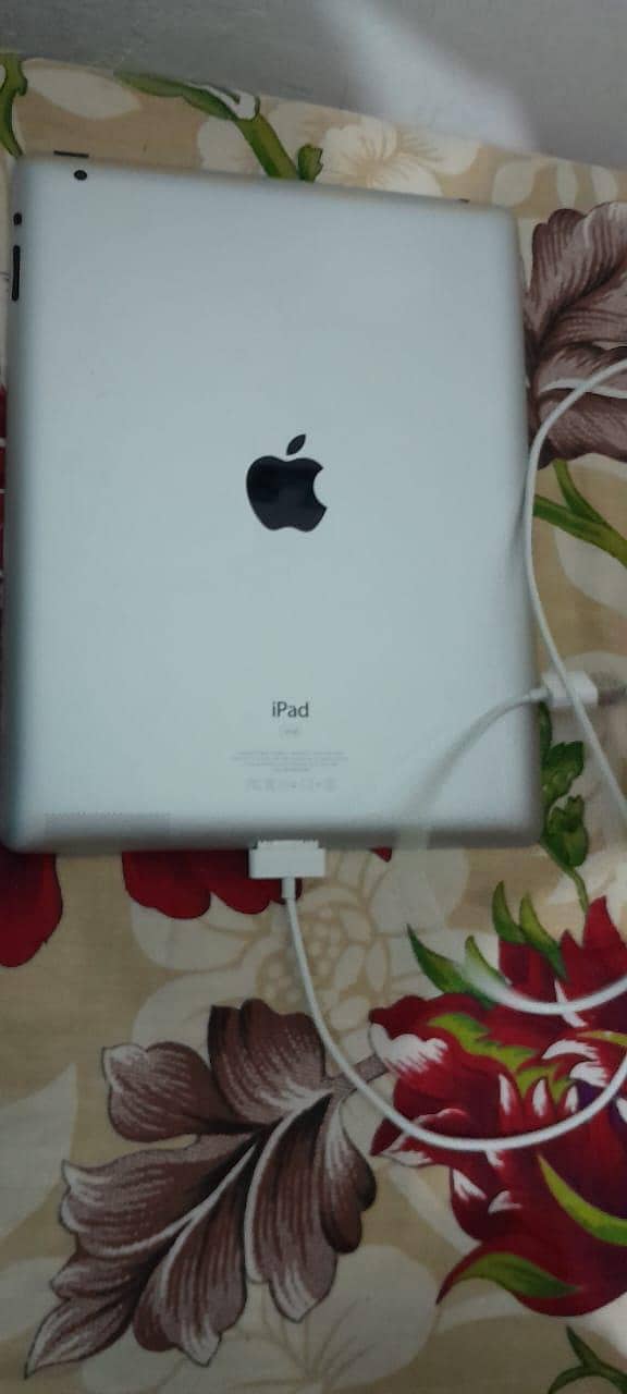 Apple 2