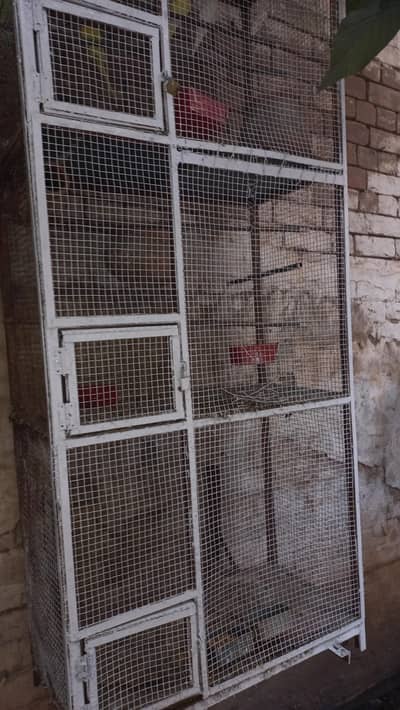 cage with three compartments. very good size for birds