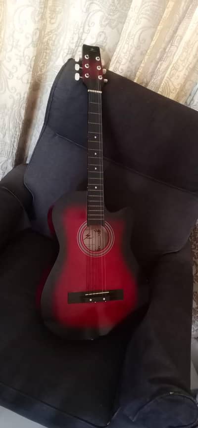 brand New guitar