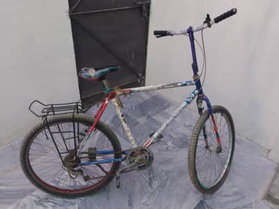 MTB Bicycle Multicolor Custom Look | With Rear Rack