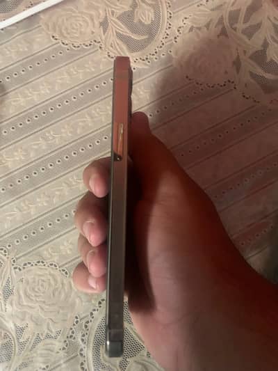 Iphone 12 pro
