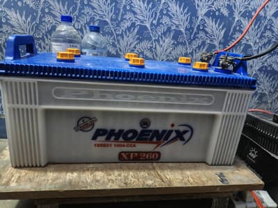 phoenix battery 190 amp with ups