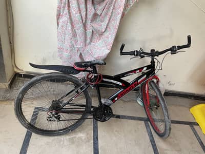 Cycle with gears