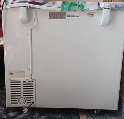 Haier Freezer
