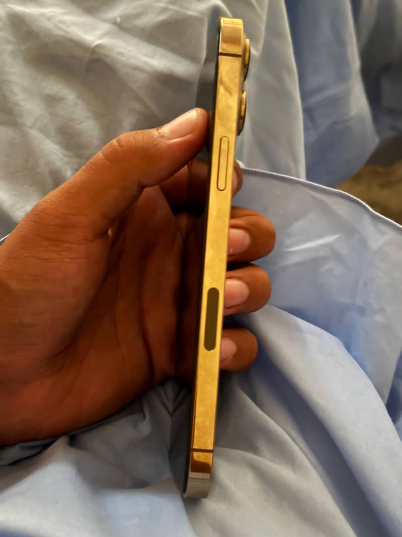 IPHONE 13 PRO MAX 1