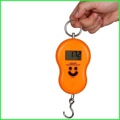 Portable Electronic Scale