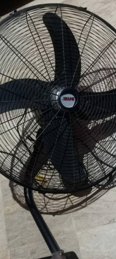 royal fan