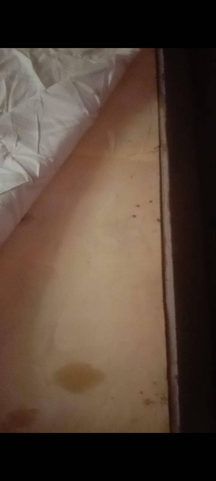 single bed 3