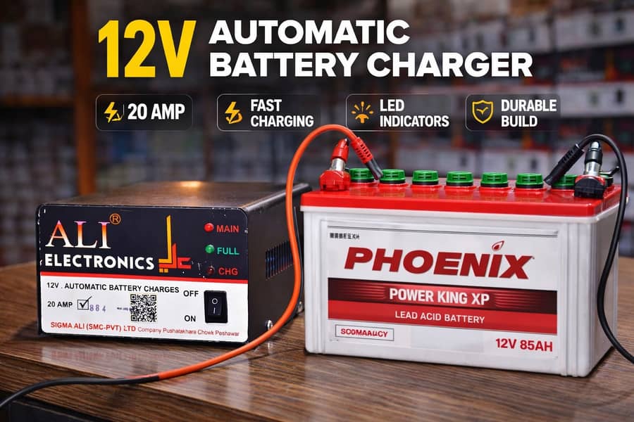 High Efficiency Automatic Battery Charger 3