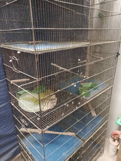 8 portion cage ha mukamal try ke sat
