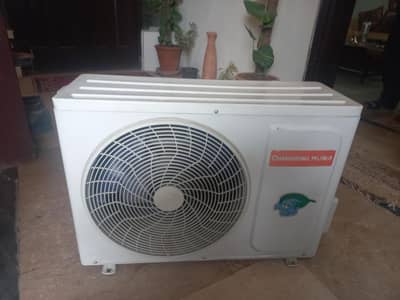 1 Season Used Only
