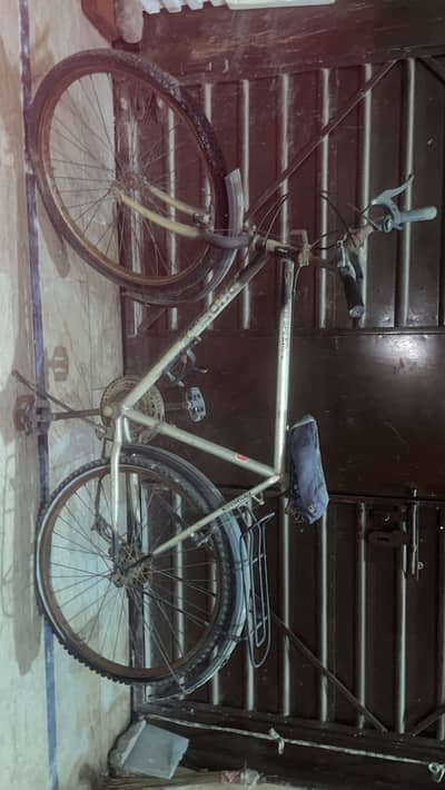 Phoenix 18-Speed Bicycle for Sale - Good Running Condition